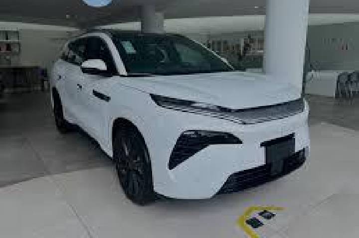 BYD VIP DAY: BYD bate recorde e baixo custo de aquisição e manutenção explicam  sucesso, afirma especialista do Grupo Viamar