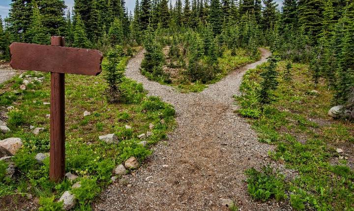 Escolhas e Consequências: o Brasil reflete sobre o peso das atitudes individuais e coletivas.