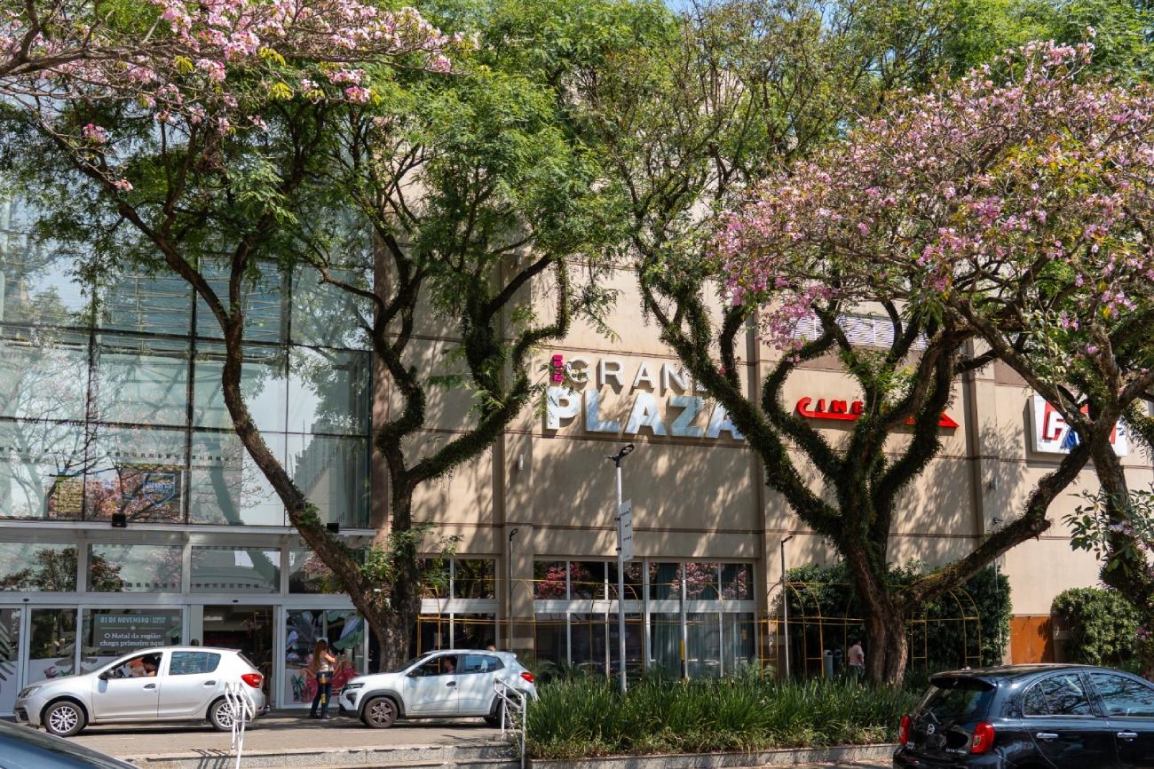 Grand Plaza celebra 29 anos com campanha especial para clientes 